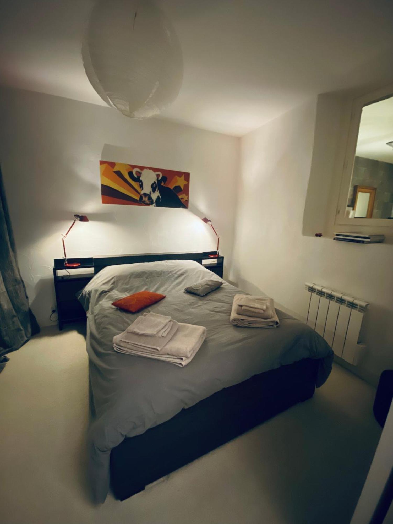 Appartement - Bonlieu - Annecy Vieille Ville المظهر الخارجي الصورة