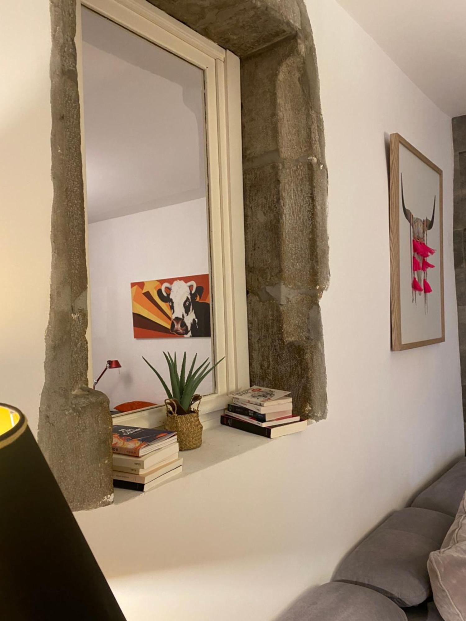 Appartement - Bonlieu - Annecy Vieille Ville المظهر الخارجي الصورة